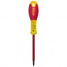 TOURNEVIS PHILLIPS ISOLE 1000V PH1X100MM FATMAX